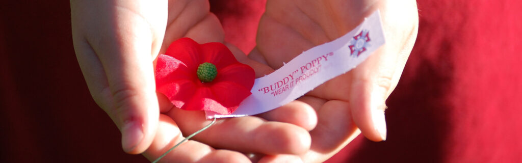 Buddy Poppy Hero Buddy Poppy
